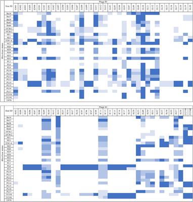 Isolation and characterization of bacteriophages for controlling Rhizobium radiobacter – causing stem and crown gall of highbush blueberry